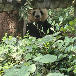 视频号萌宠排行榜第9名undefined,新榜指数619.3,新增作品数2,总推荐数1419,平均推荐数709.5,最高推荐数1110
