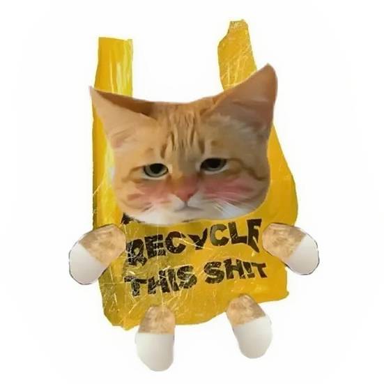 沐慕猫