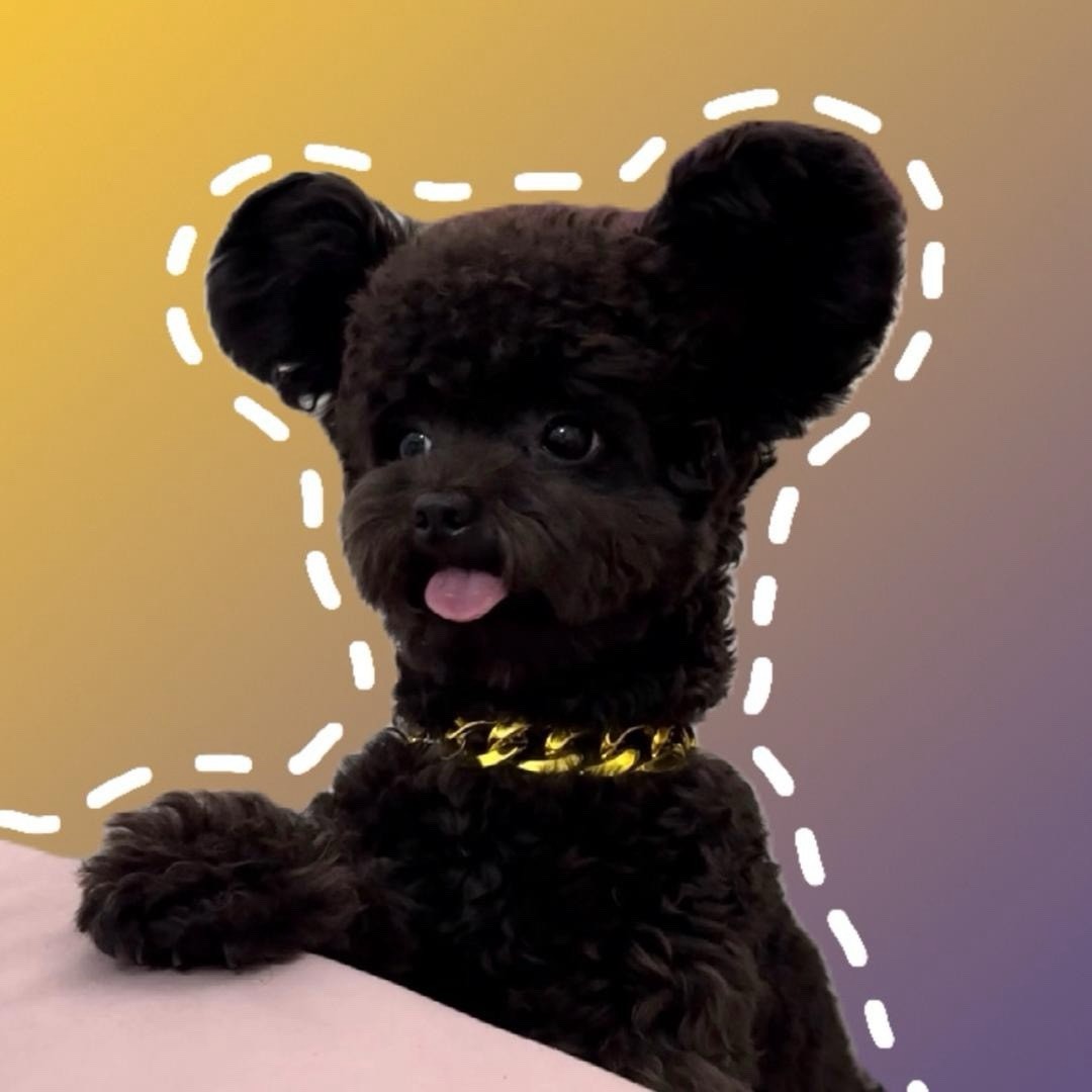 小黑熊球球