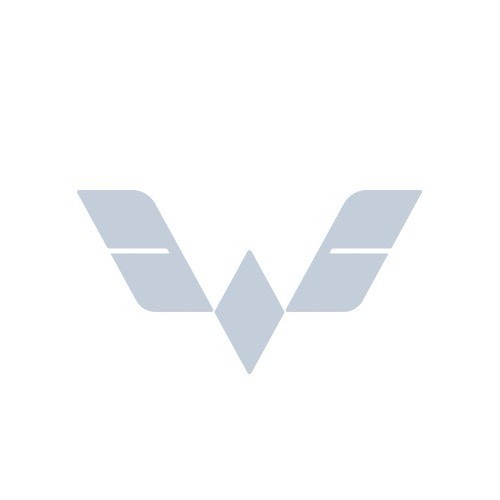 五菱银标