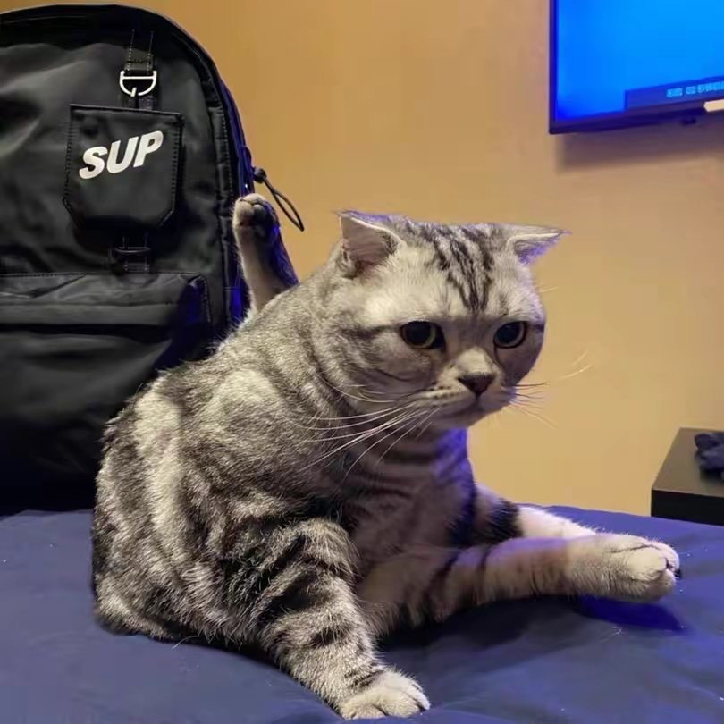 森森爱走思本人