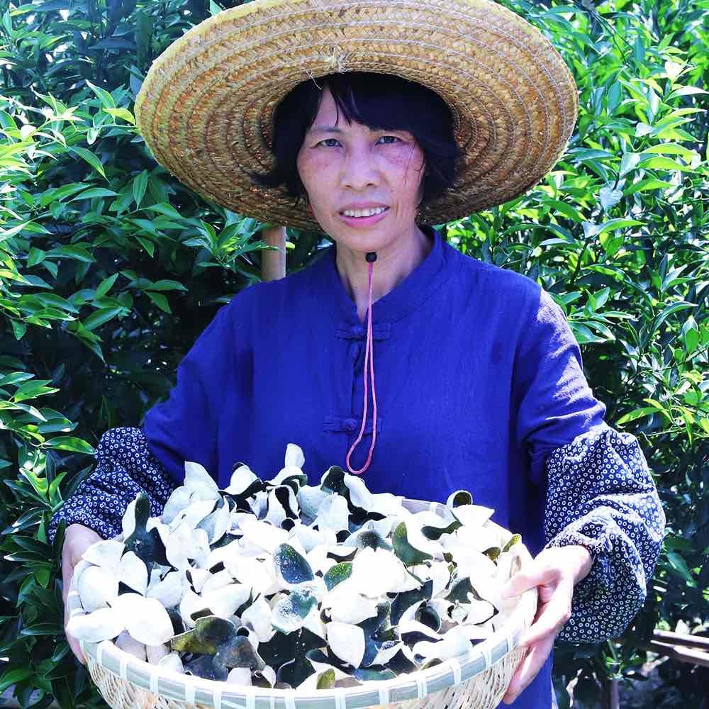 新会欢欢啊姨