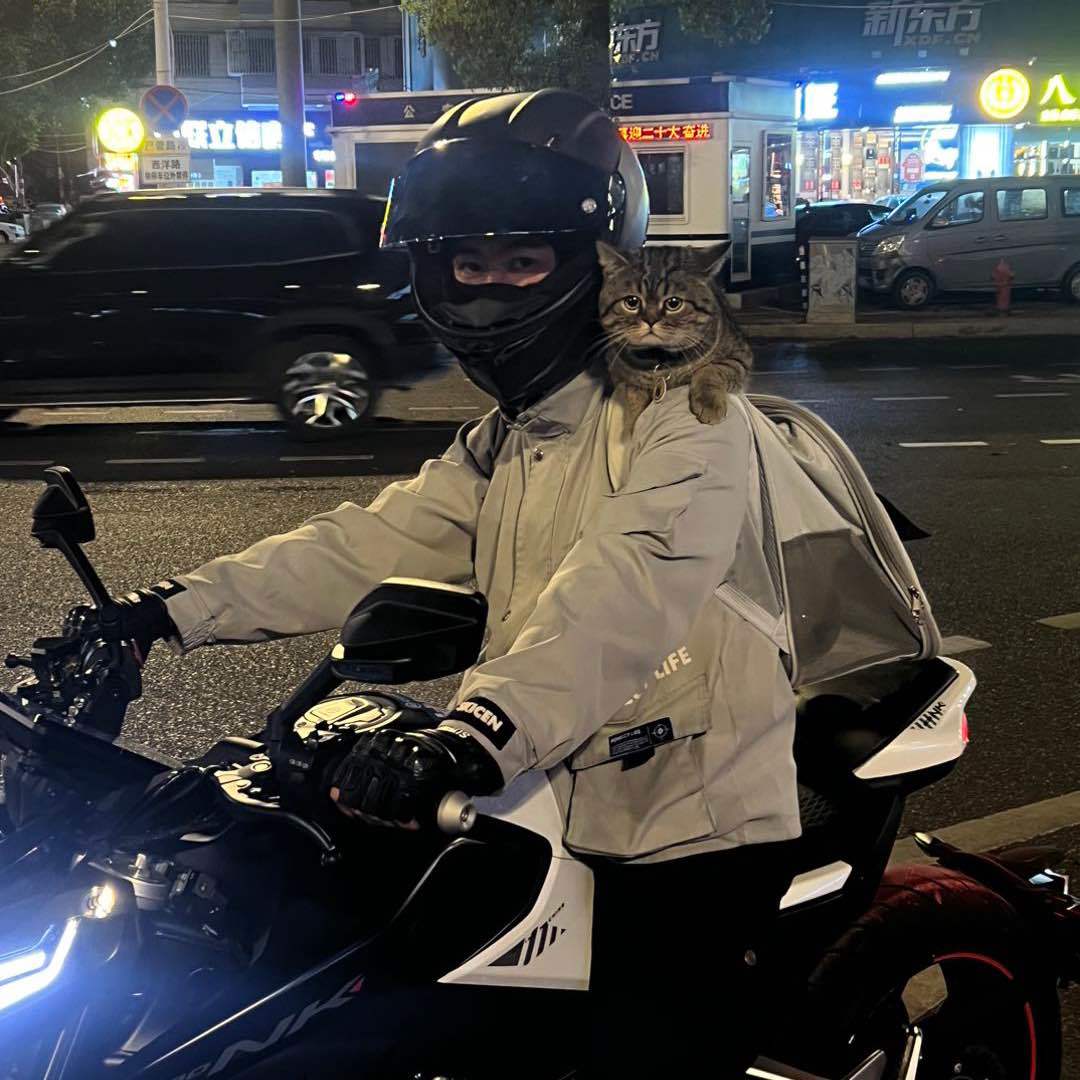益达爱养猫