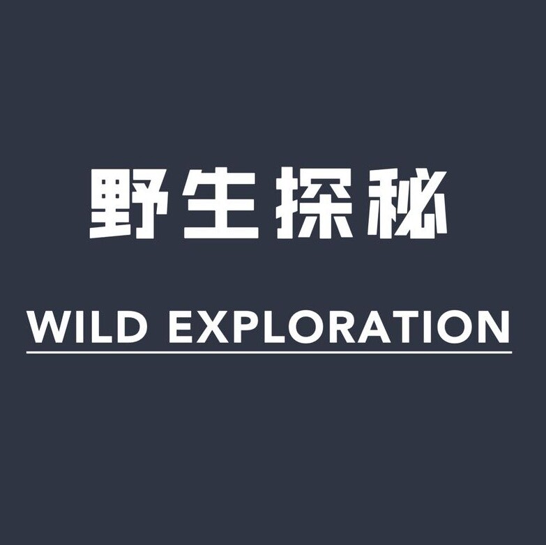 野生探秘