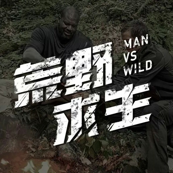 荒野求生系列