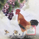 优质广东名鸡杏花鸡