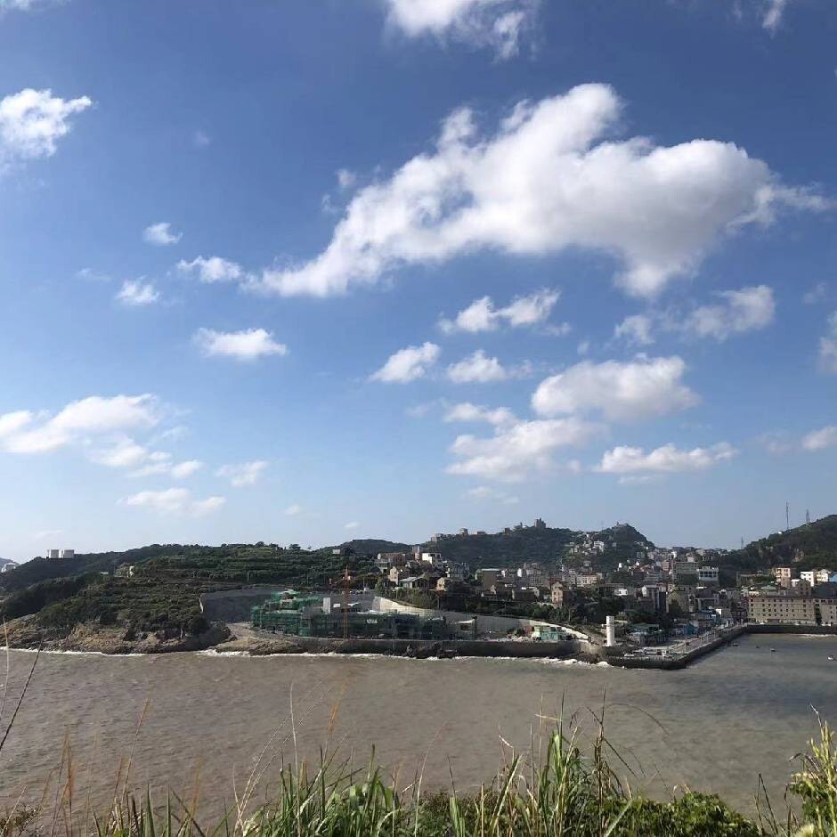 胡萝卜1629