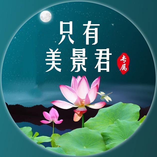 只有美景