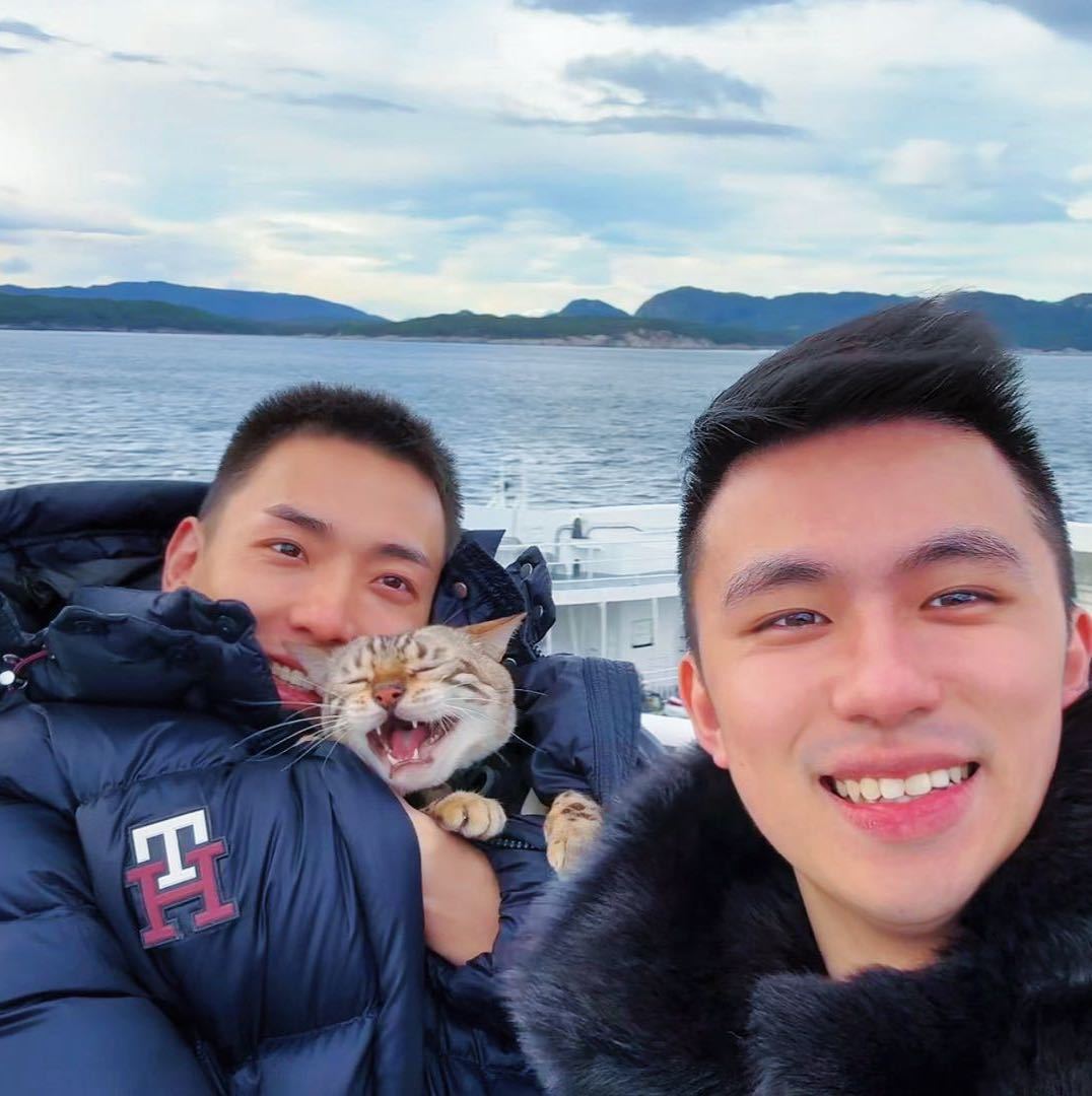 小锋小志的猫咪小院