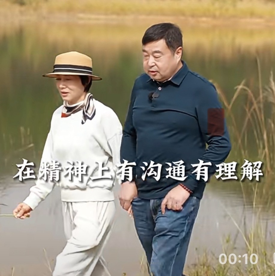 老张和李岚
