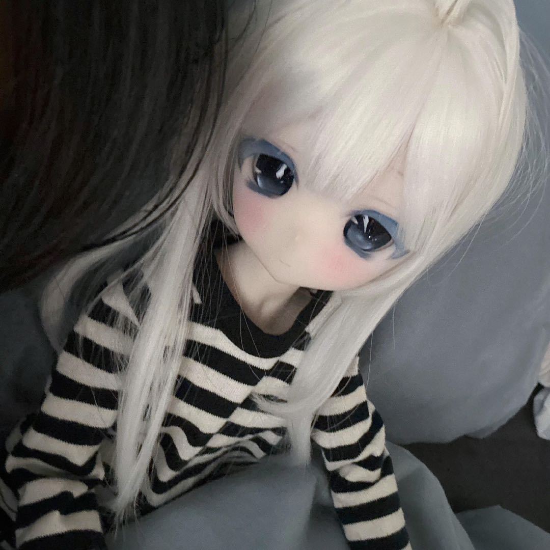 狗狗教主ovo