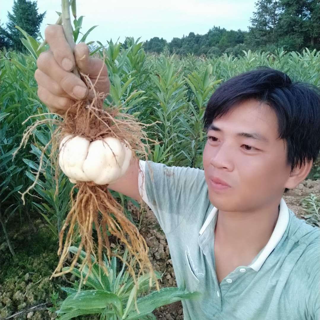山水食客百合哥