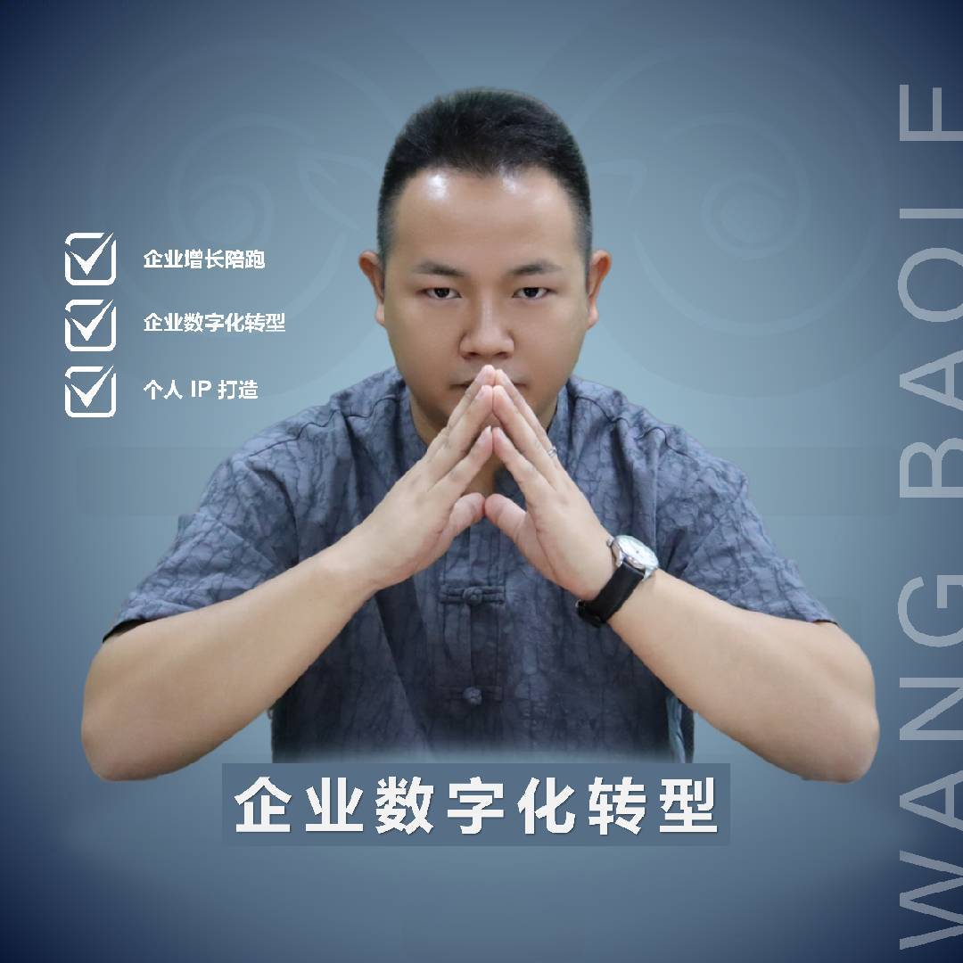 王宝乐聊数字化