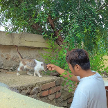 曲洋的不苦小院