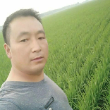 郑江五常大米