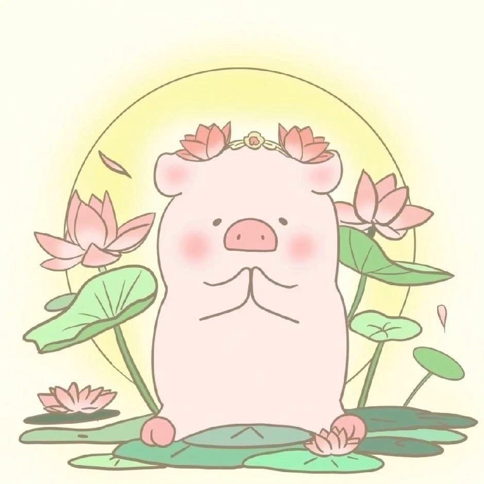 小猪包大学生就业指导