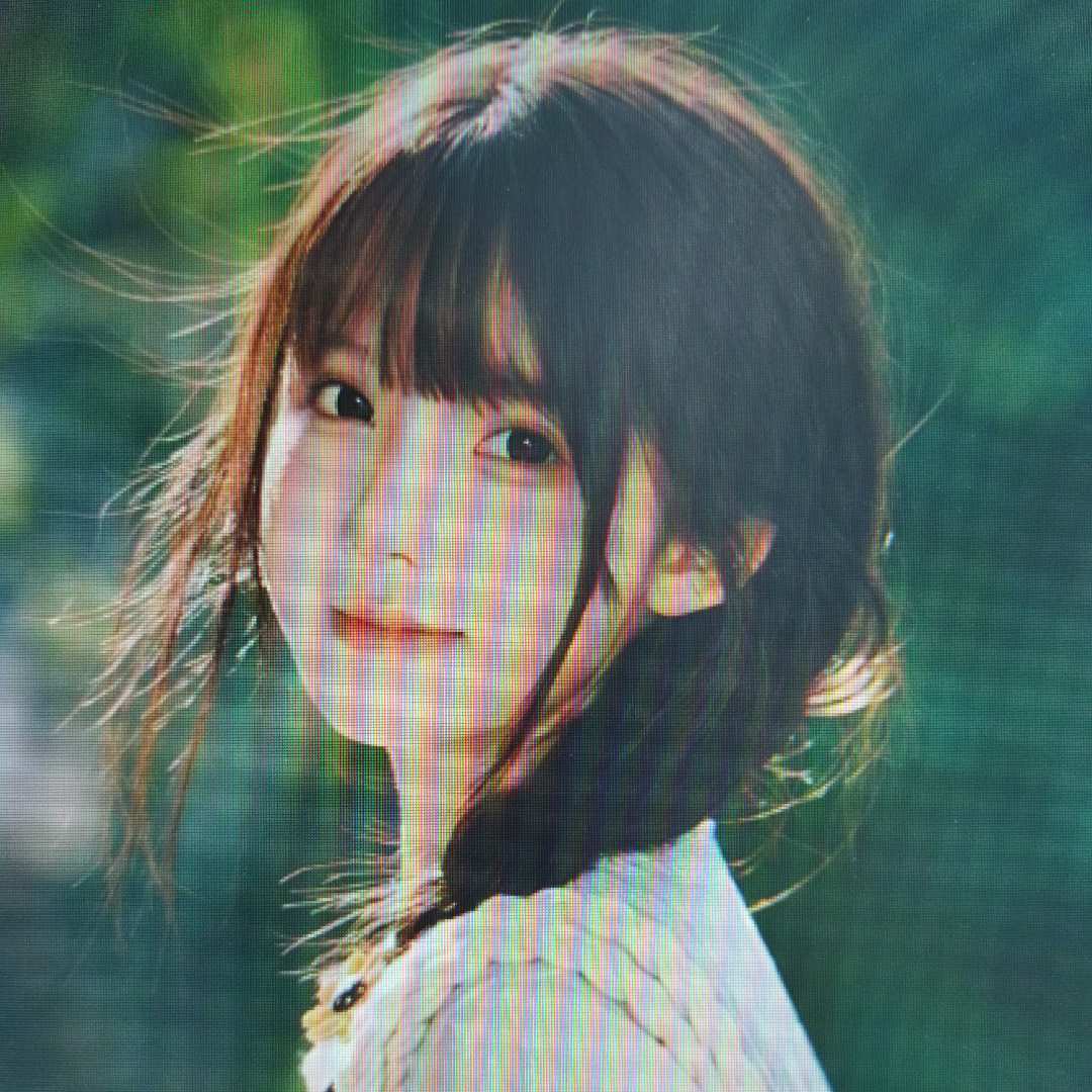 阿狸8794