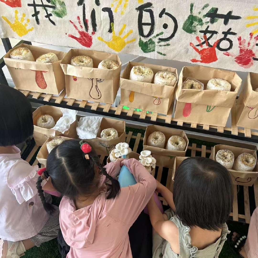 彩虹老师的育儿乐园