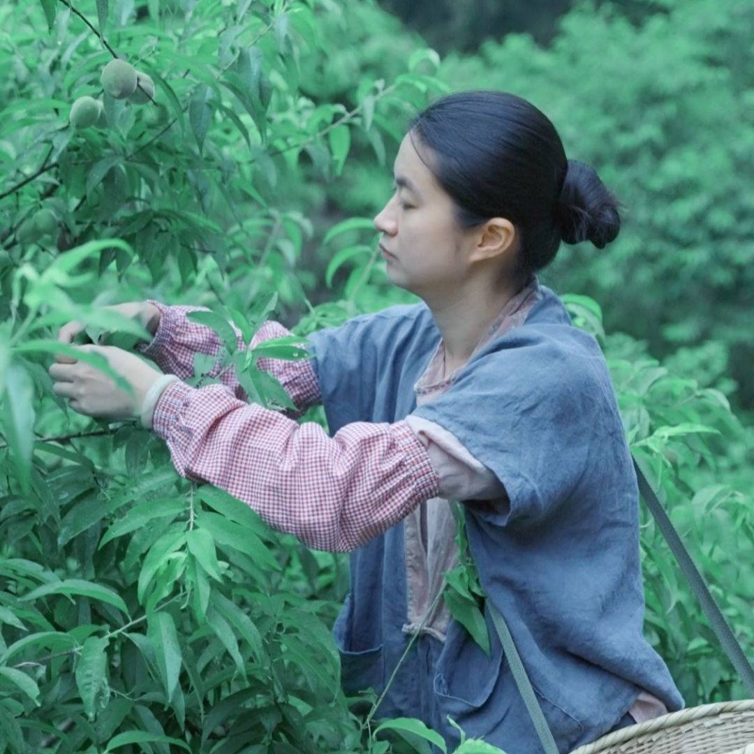 石斛姑娘上山村