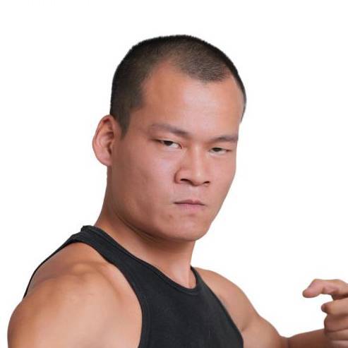 湖南杨守田