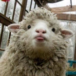 不懂车的小老弟