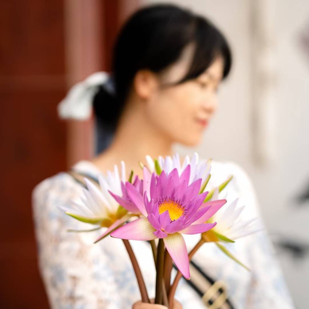小宝观世界