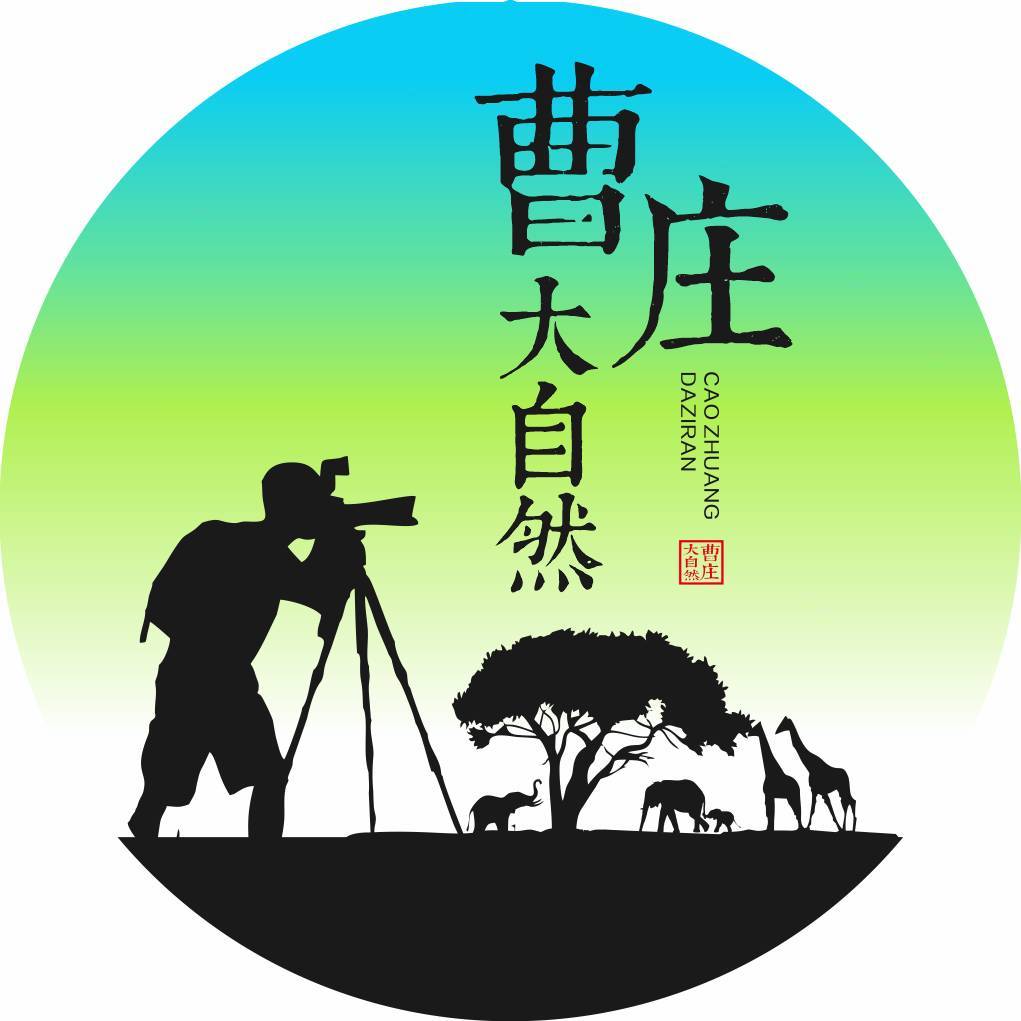 曹庄大自然