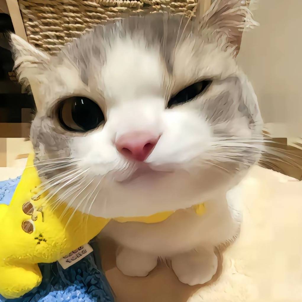 哈基me小剧场