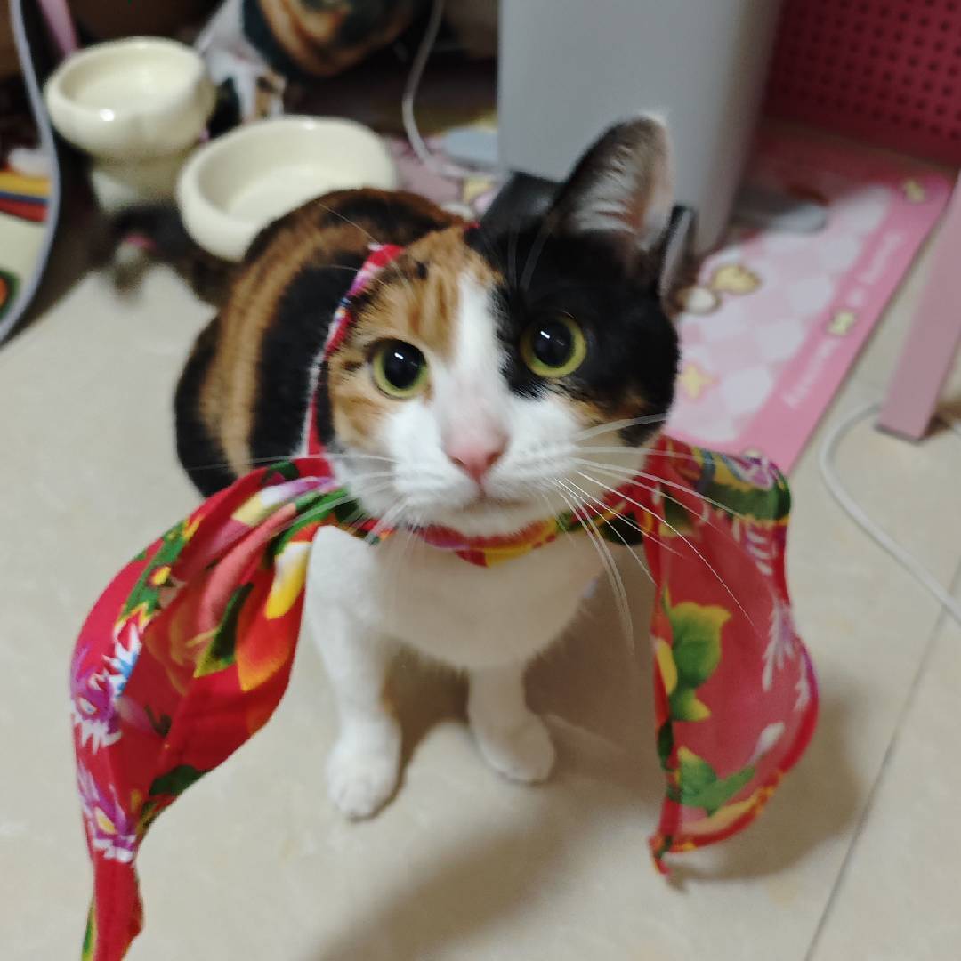 超级无敌大大大开门