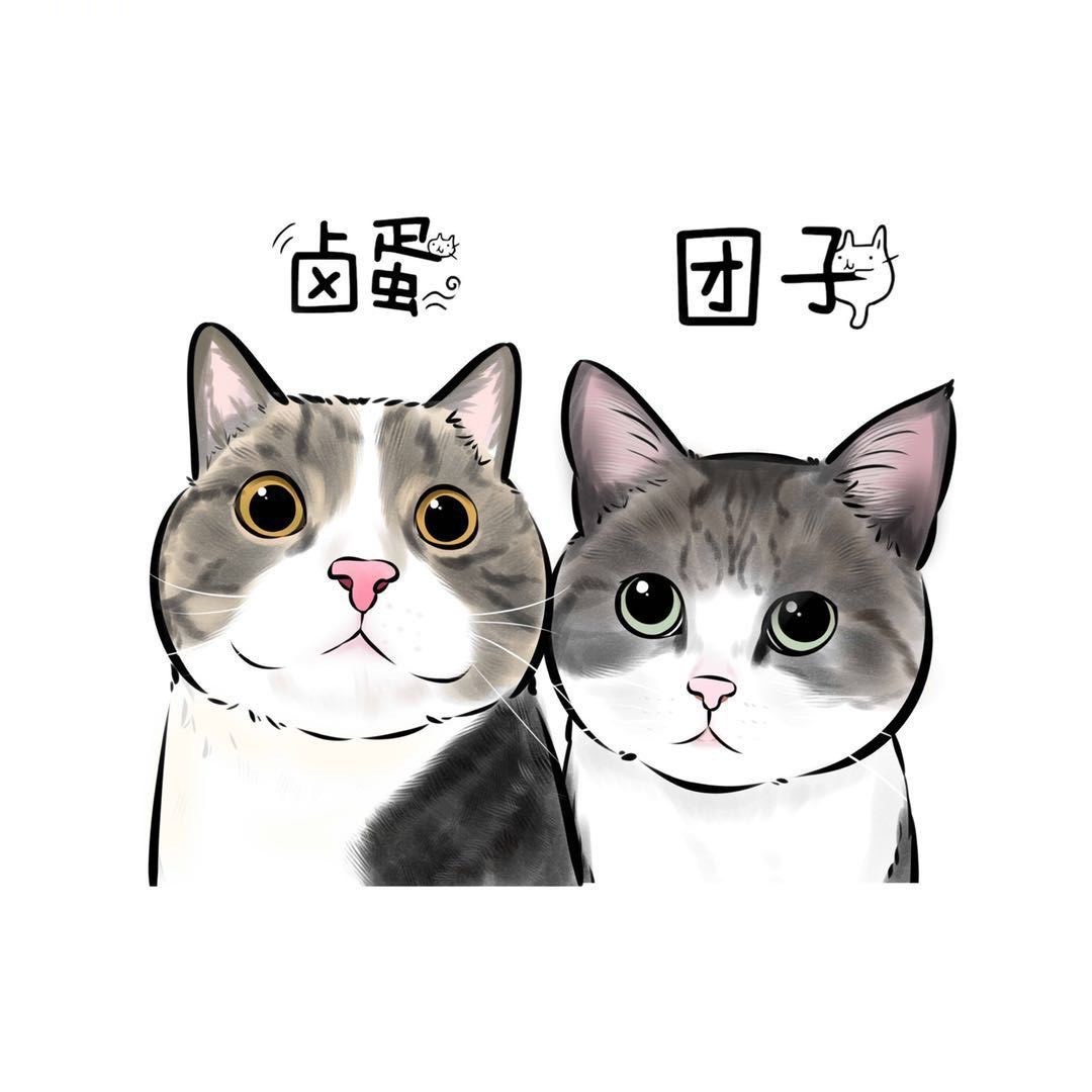 团子和卤蛋