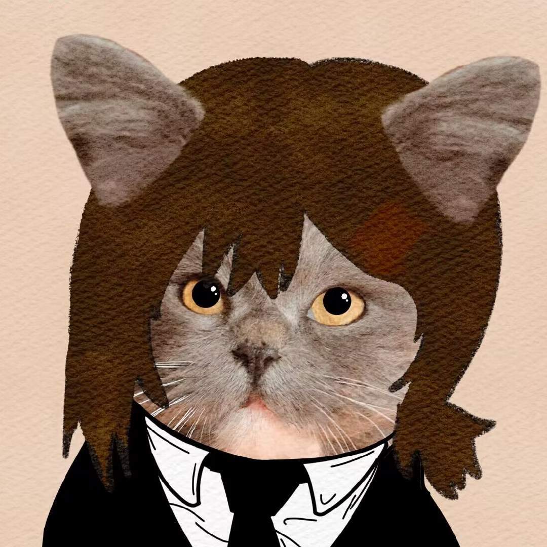 腼腆猫meme