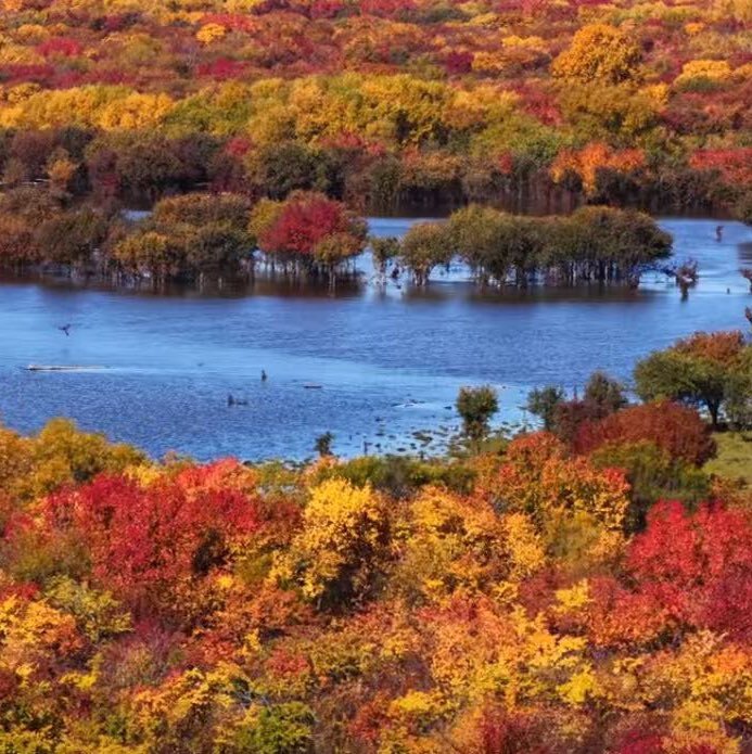 视频号旅行摄影排行榜第27名undefined,新榜指数709.2,新增作品数3,总推荐数4143,平均推荐数1381,最高推荐数4135