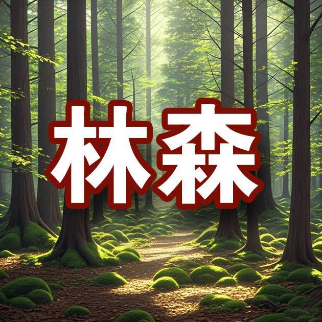 林森趣史探秘