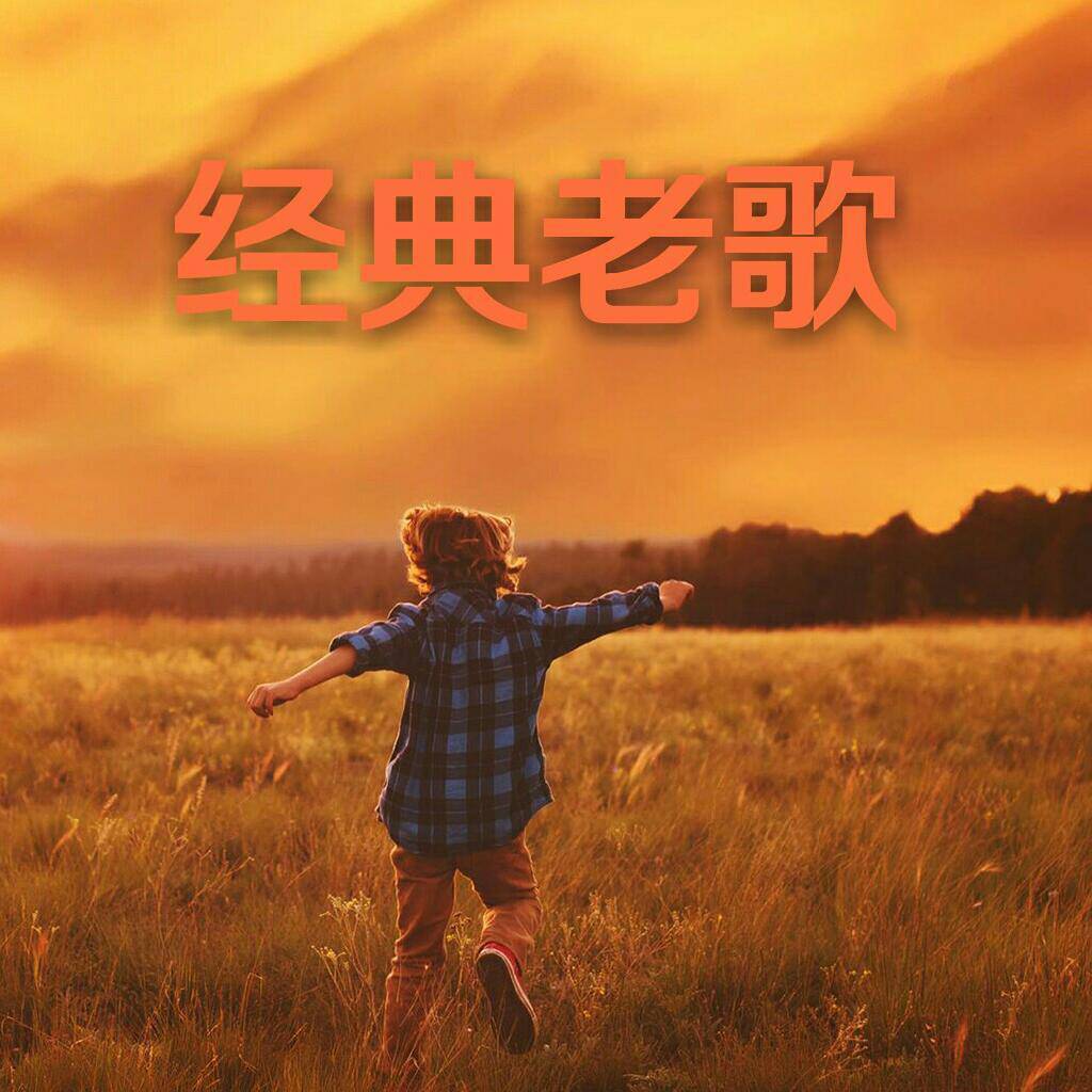 专注老歌