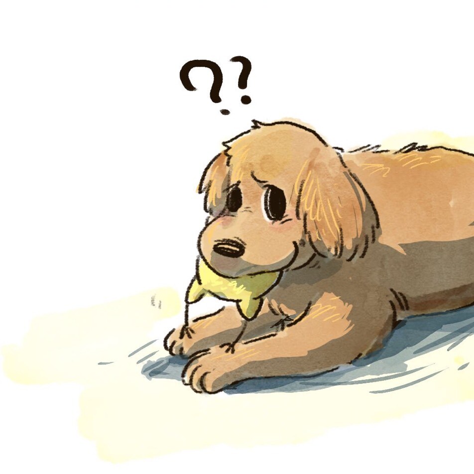 陪你画画的笑天