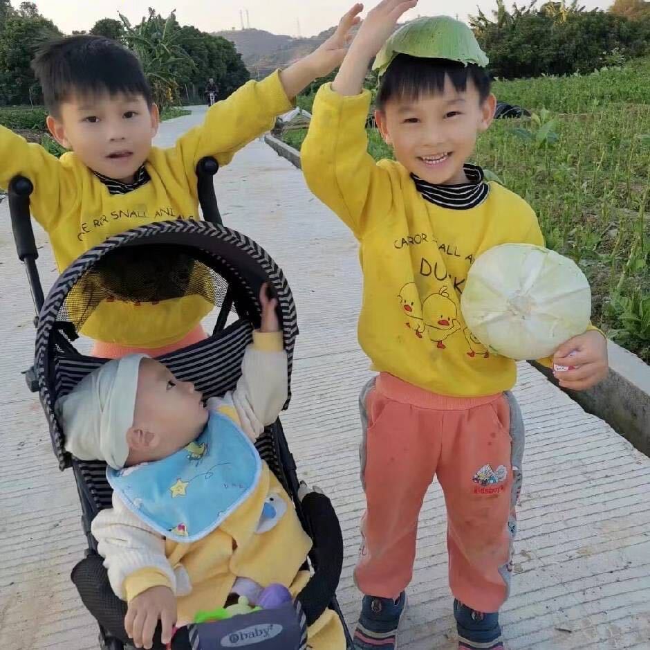 快乐三兄弟视频