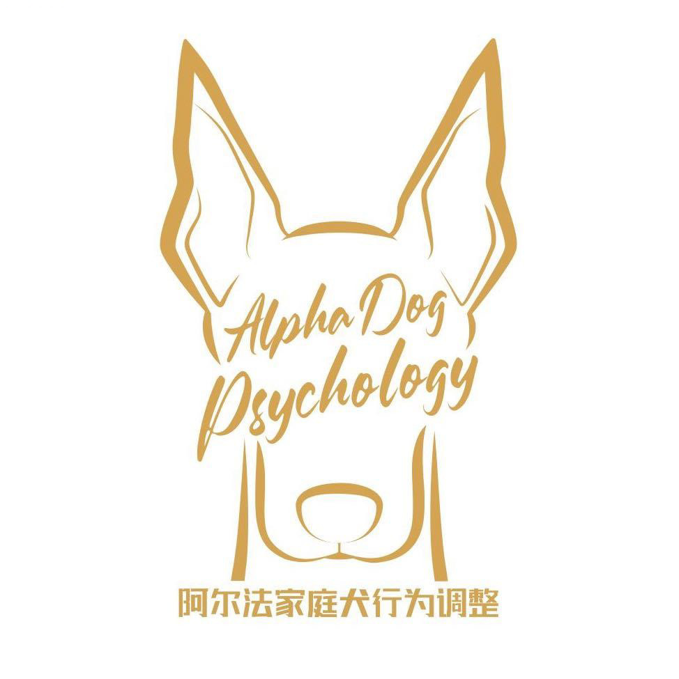 阿尔法家庭犬行为调整