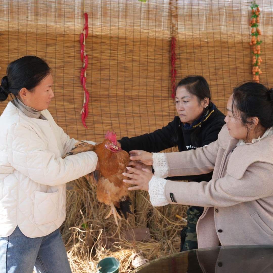 乡村老李家的生活