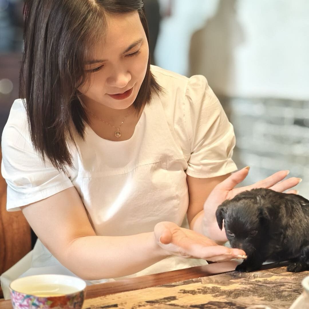 我是尤越