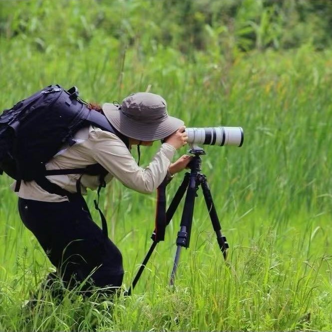 阿涛的恋爱日记
