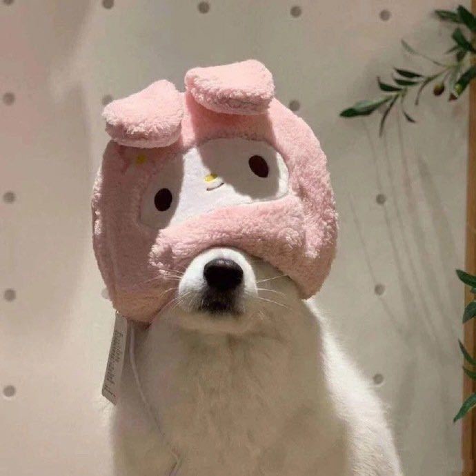 甜甜小表妹.