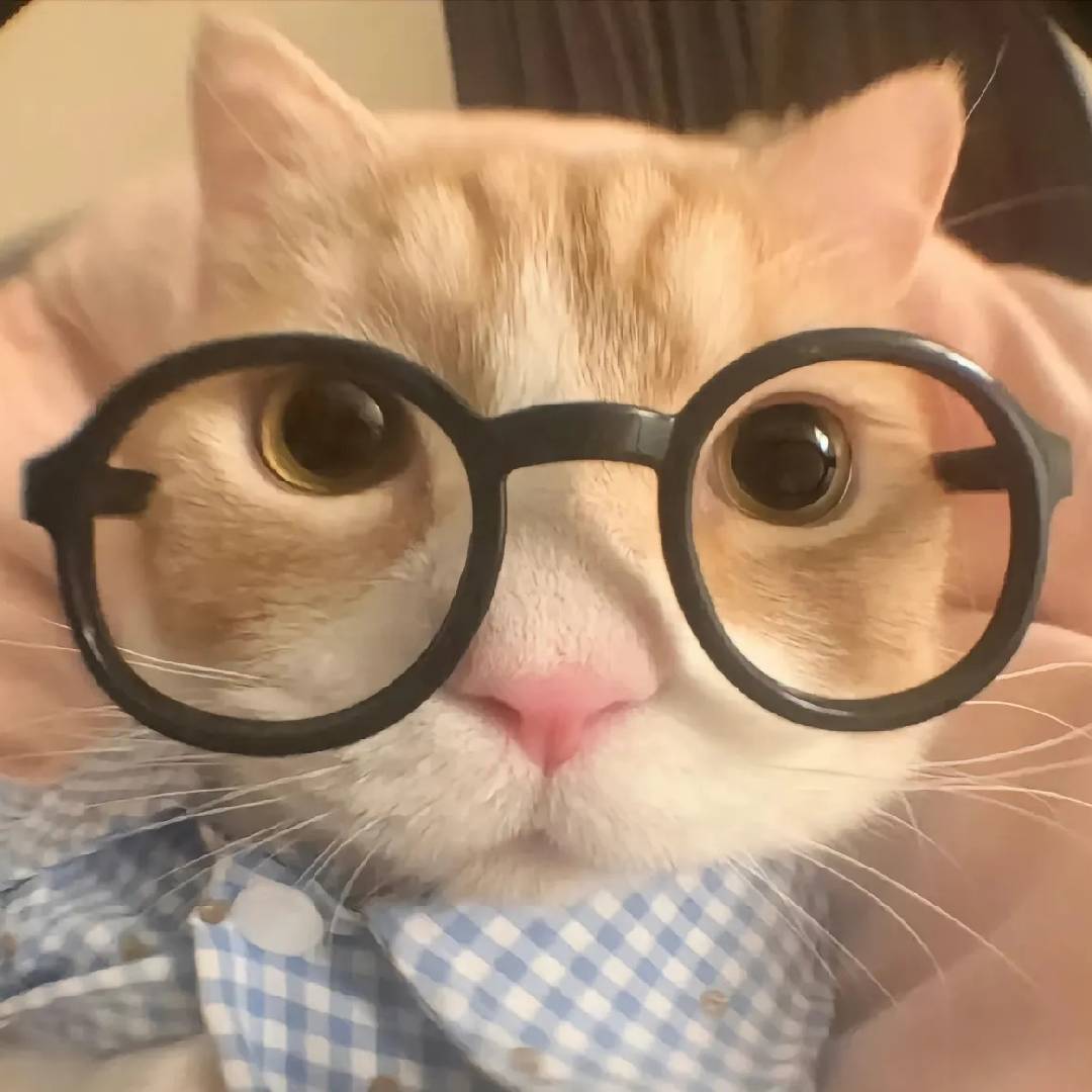 牛奶小馒头tt