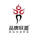 品牌联盟咨询