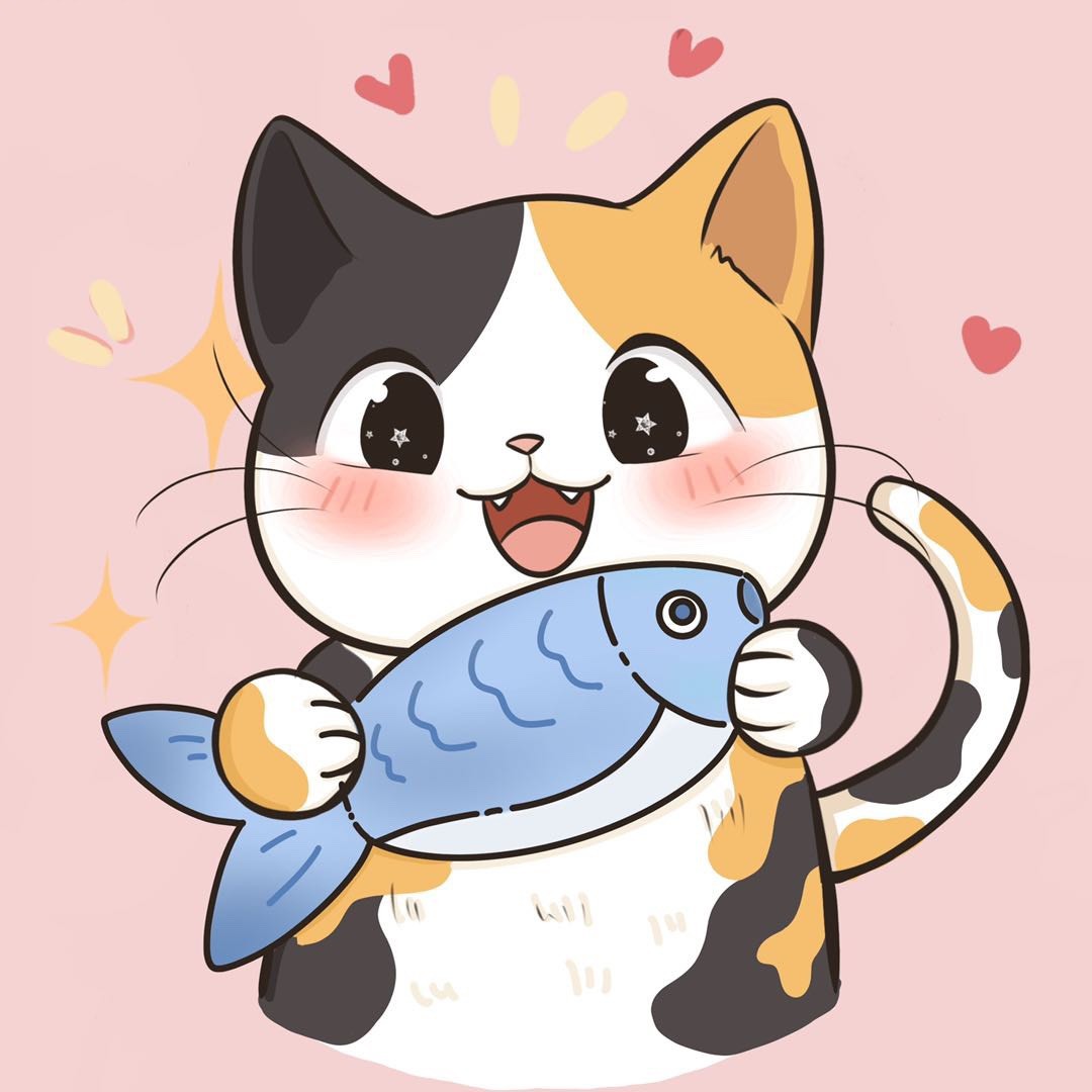 条条娱乐