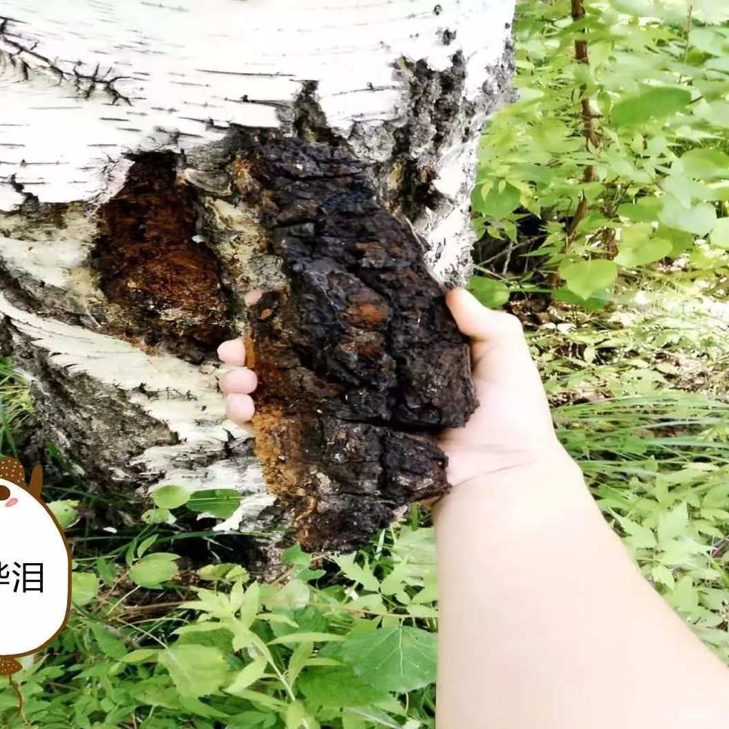 四季山货