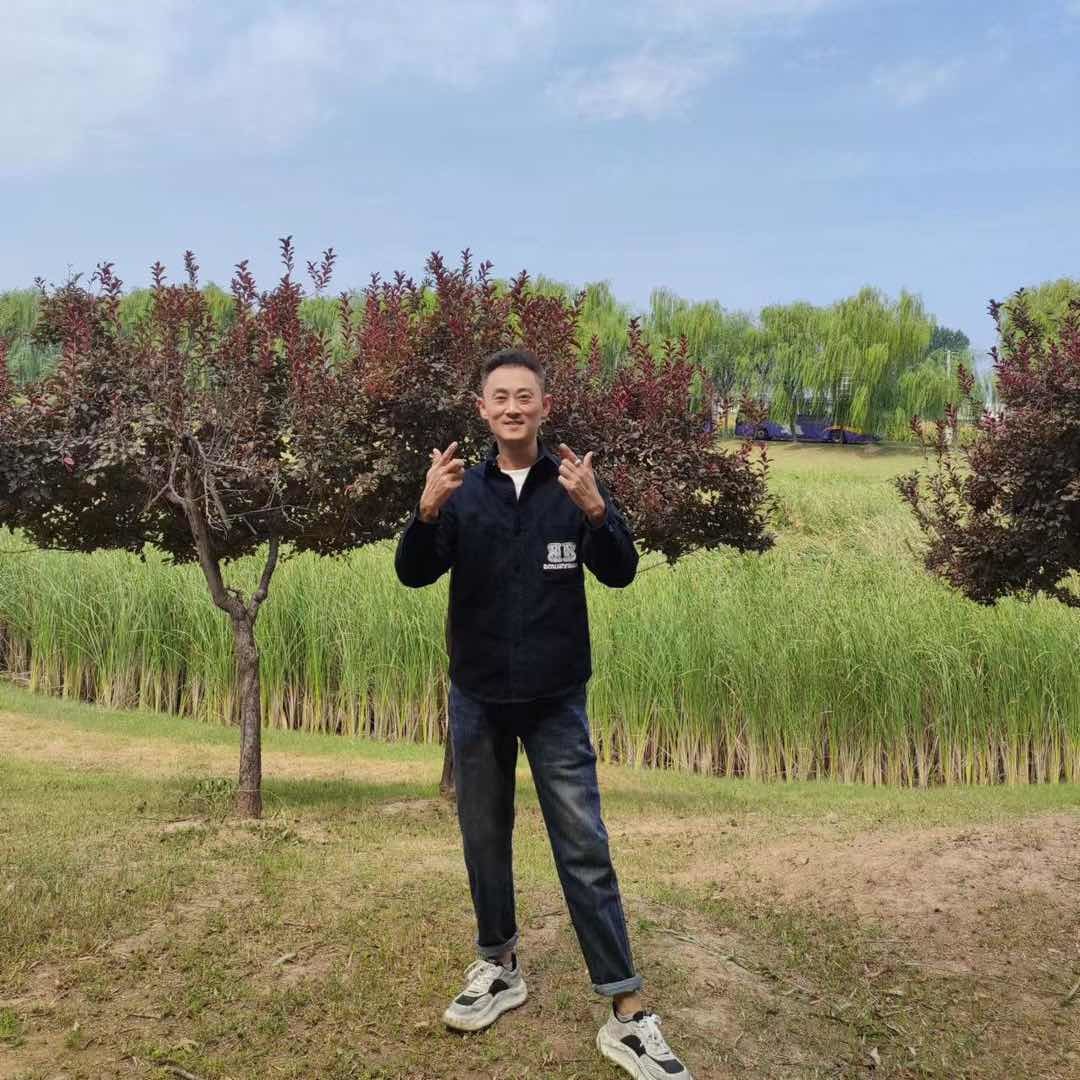 河南李明星