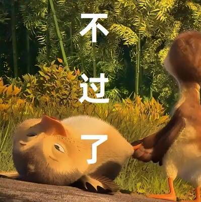 你真的好美