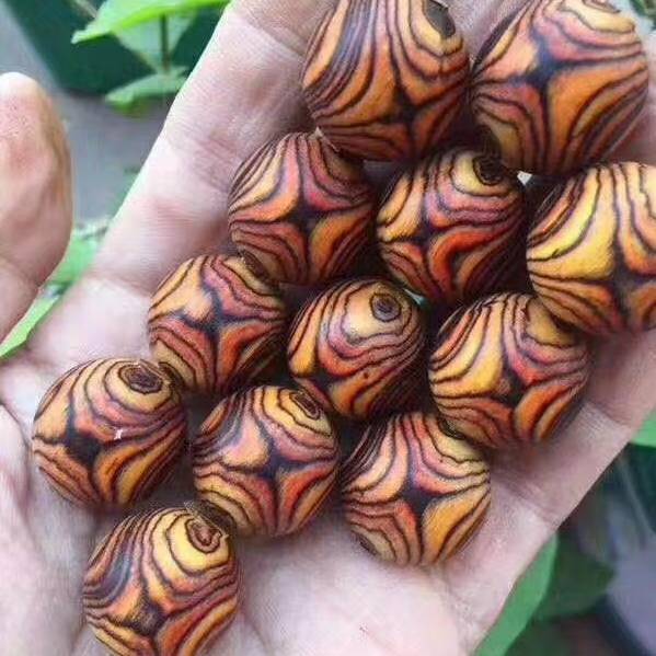 珠缘阁文案