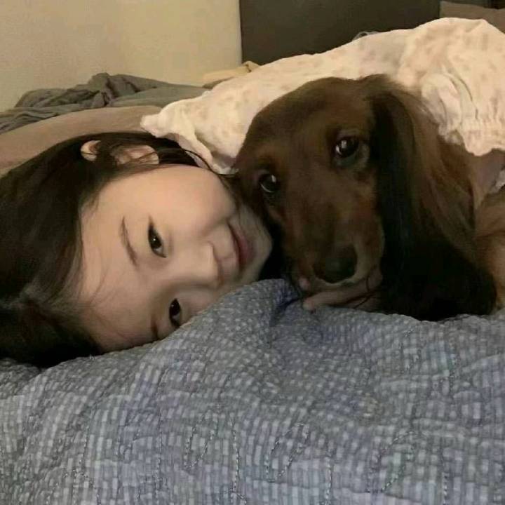 时光印迹簿
