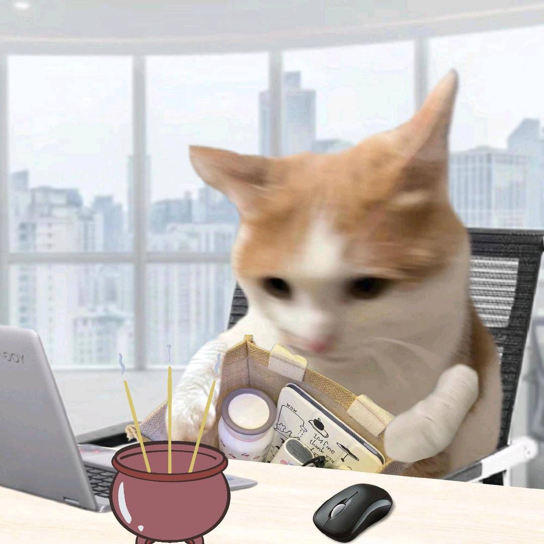 香炉的猫meme